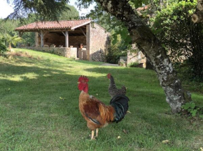 Le Gîte de lescarcelles proche du château de Bonaguil